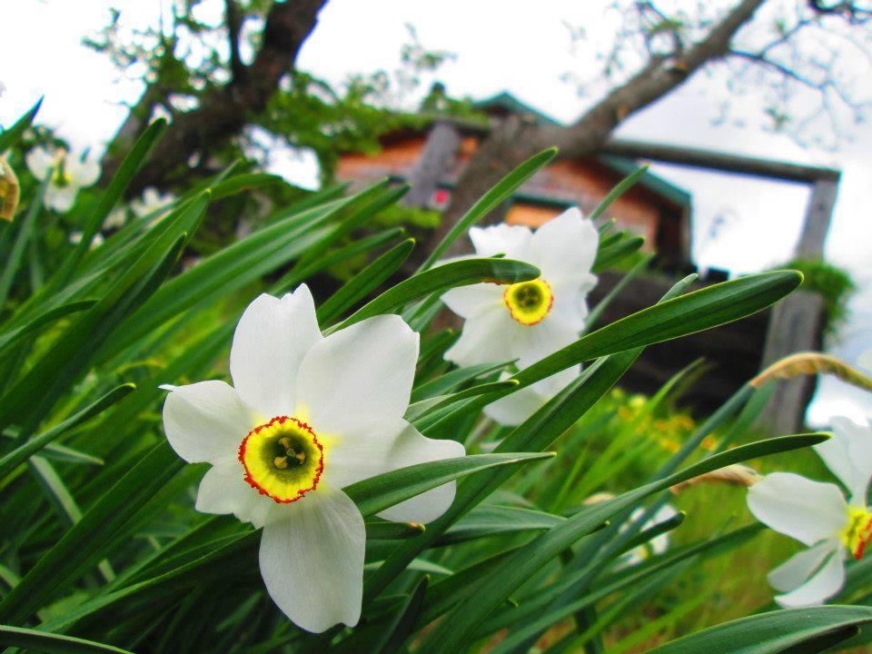 Cabanas Brellenthin Villa โกกราเน ภายนอก รูปภาพ